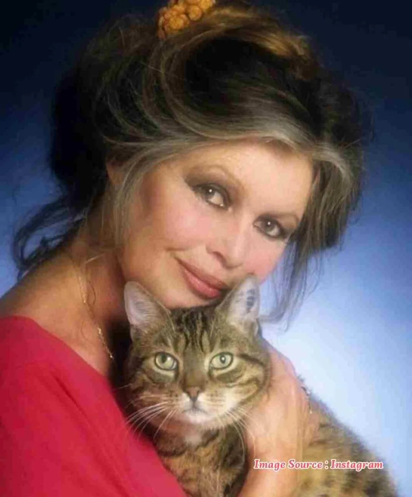 bardot, biography brigitte bardot, Biography In English, brigitte bardot, Brigitte Bardot age, brigitte bardot bio, brigitte bardot biography, brigitte bardot biography book, brigitte bardot biography in english, Brigitte Bardot children, brigitte bardot family, brigitte bardot father, brigitte bardot husband, brigitte bardot kids, brigitte bardot life story, brigitte bardot mother, brigitte bardot movies, Brigitte Bardot Net Worth, brigitte bardot now, Brigitte Bardot parent name, brigitte bardot son, Brigitte Bardot weight and height, brigitte bardot young, filmographie brigitte bardot, life of brigitte bardot